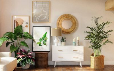 Revamper vos plantes d’intérieur